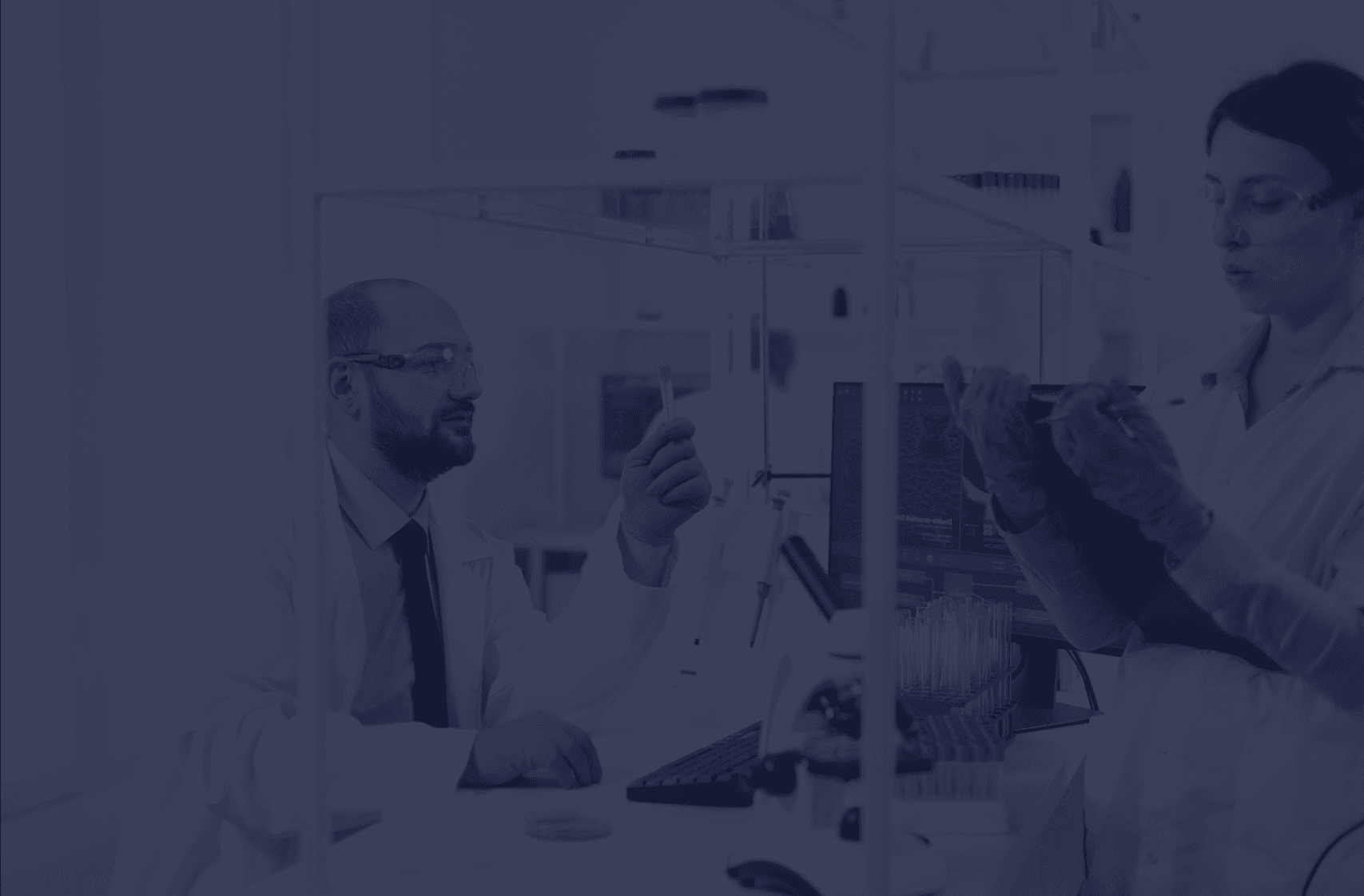 bg-פרופ' רות בירק