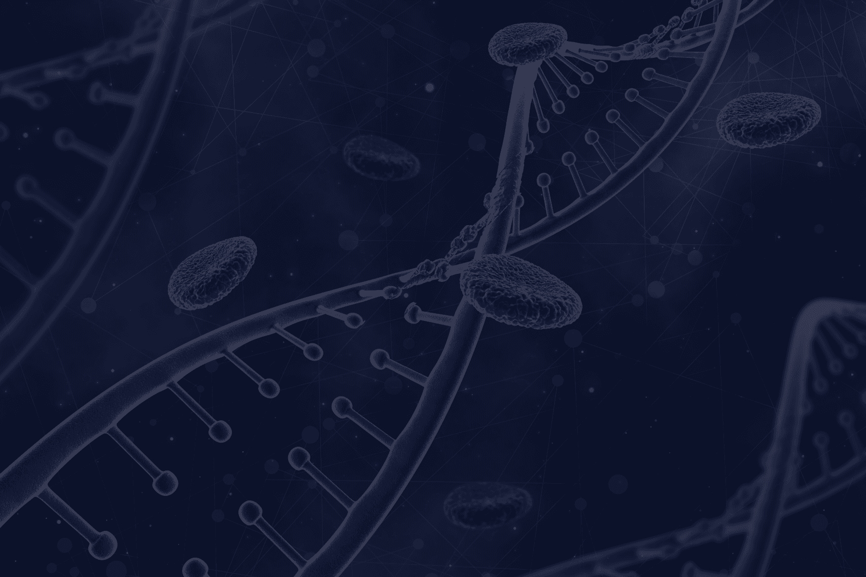 bg-מור בן שמחון