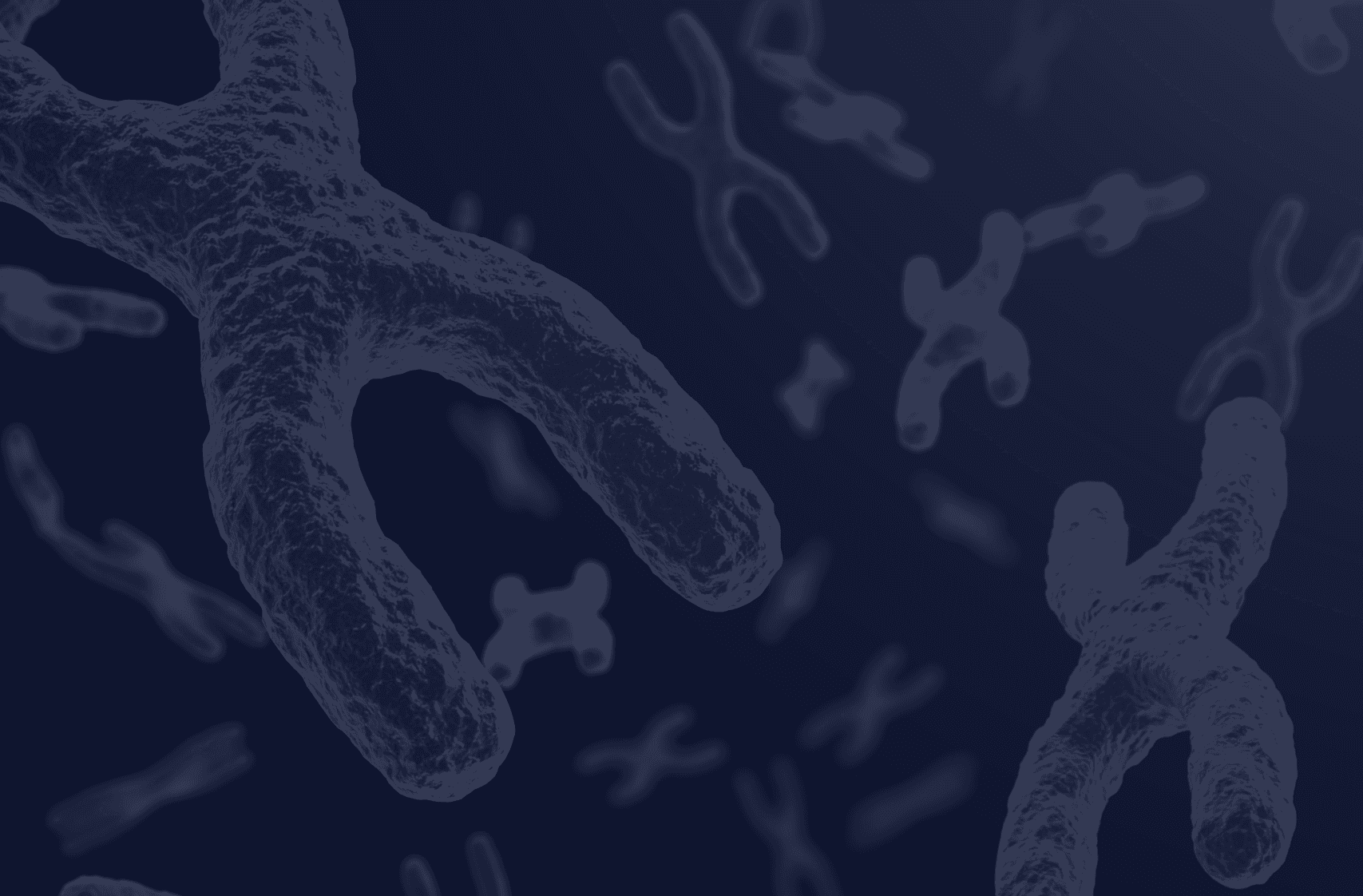 bg-ד"ר ארנון ליבר